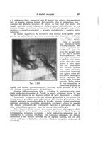 giornale/TO00214455/1928/unico/00000485