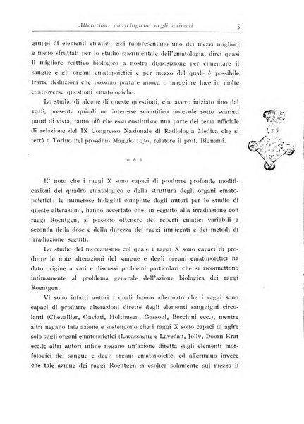 Archivi di biologia applicata alla patologia, alla clinica e all'igiene periodico bimestrale