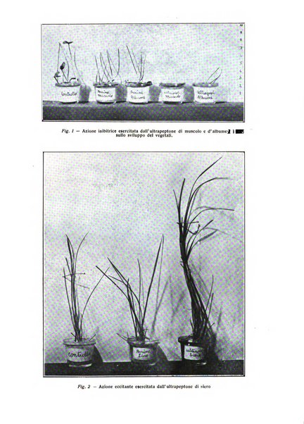 Annali dell'Istituto Maragliano archivi di biologia applicata alla patologia, alla clinica e all'igiene