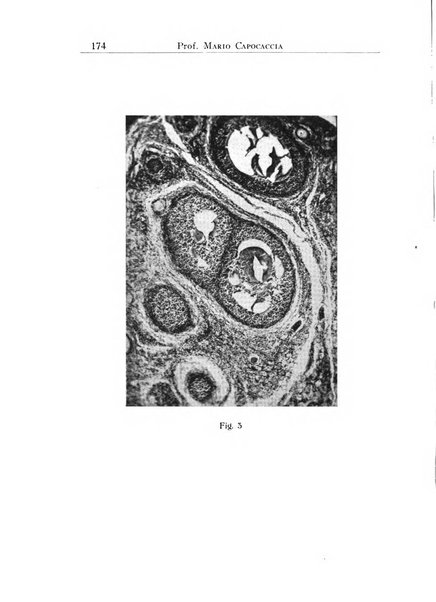 Annali dell'Istituto Maragliano archivi di biologia applicata alla patologia, alla clinica e all'igiene