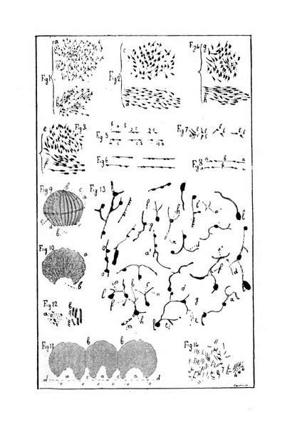 Annali dell'Istituto Maragliano archivi di biologia applicata alla patologia, alla clinica e all'igiene