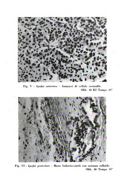 Annali dell'Istituto Maragliano archivi di biologia applicata alla patologia, alla clinica e all'igiene