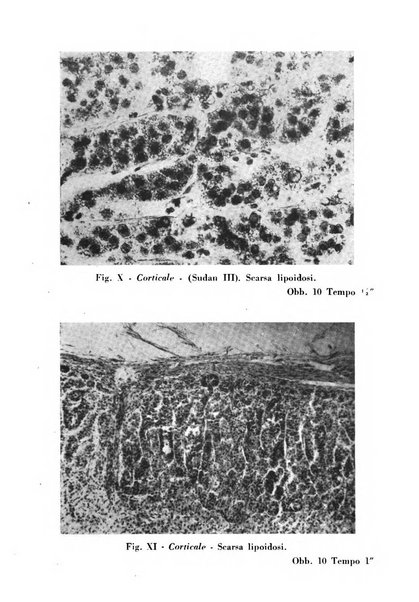 Annali dell'Istituto Maragliano archivi di biologia applicata alla patologia, alla clinica e all'igiene