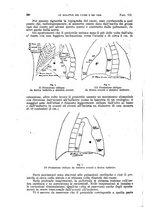 giornale/TO00215755/1916-1917/unico/00000328