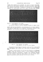 giornale/TO00215755/1919/unico/00000070