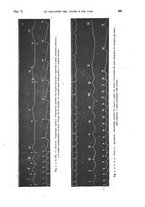 giornale/TO00215755/1919/unico/00000347