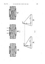 giornale/TO00215755/1919/unico/00000449