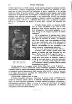giornale/TO00215878/1912/unico/00000580