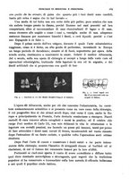 giornale/TO00215878/1913/unico/00000331