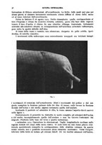 giornale/TO00215878/1916/unico/00000080