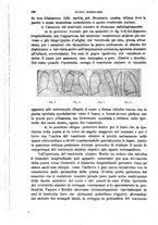 giornale/TO00215878/1919/unico/00000258