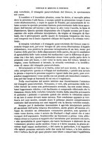 giornale/TO00215878/1919/unico/00000795