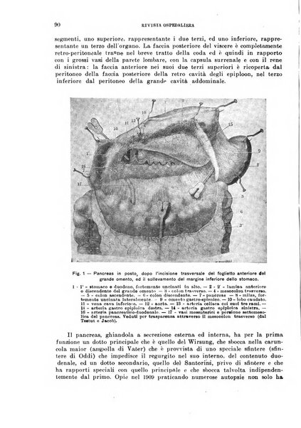 Rivista ospedaliera giornale di medicina e chirurgia