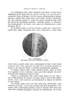 giornale/TO00215878/1931/unico/00000029