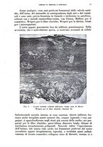 giornale/TO00215878/1938/unico/00000035