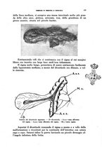 giornale/TO00215878/1942-1943/unico/00000125