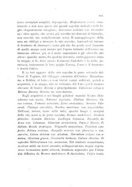 Archivio botanico per la sistematica, fitogeografia e genetica