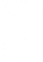 giornale/TO00216065/1921/v.1/00000021