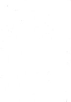 giornale/TO00216065/1921/v.1/00000076