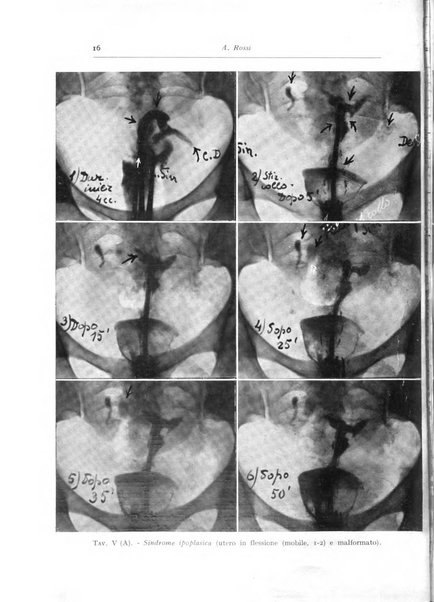 Annali di radiologia diagnostica