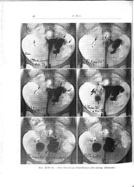 Annali di radiologia diagnostica