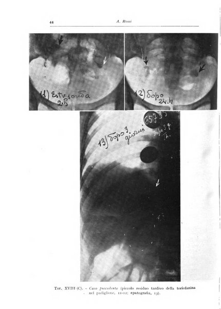 Annali di radiologia diagnostica