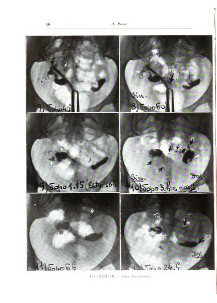 Annali di radiologia diagnostica