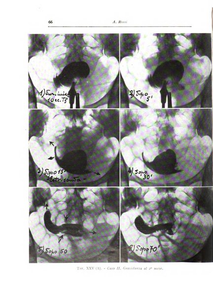 Annali di radiologia diagnostica