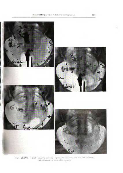 Annali di radiologia diagnostica