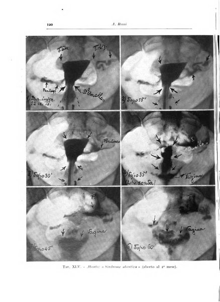 Annali di radiologia diagnostica