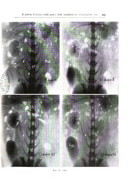 Annali di radiologia diagnostica