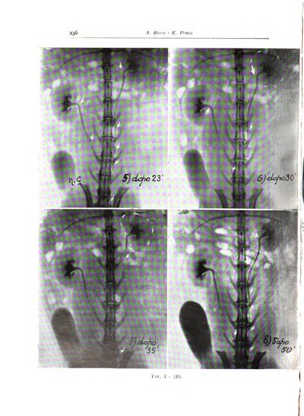 Annali di radiologia diagnostica