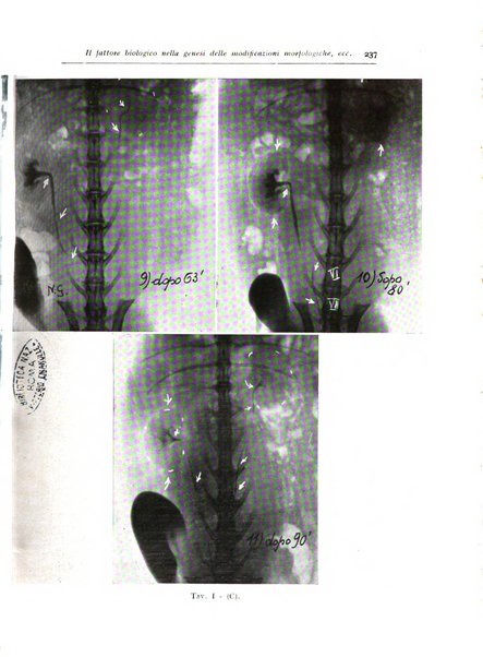 Annali di radiologia diagnostica