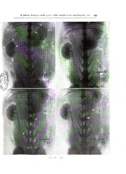 Annali di radiologia diagnostica