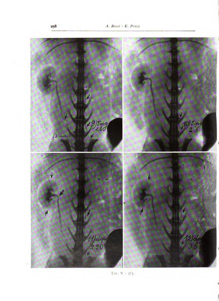 Annali di radiologia diagnostica