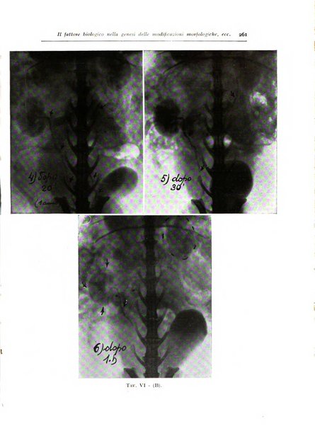 Annali di radiologia diagnostica