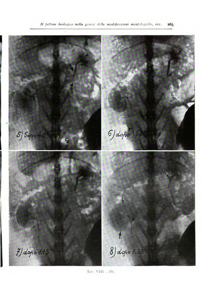 Annali di radiologia diagnostica