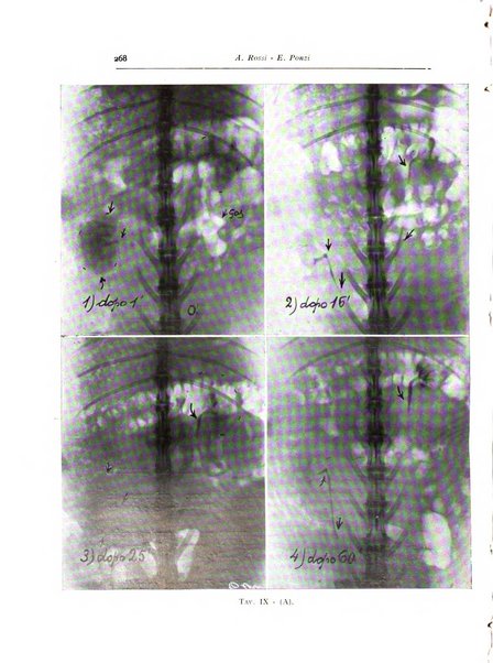 Annali di radiologia diagnostica