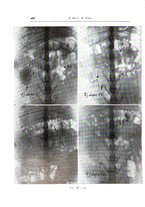 giornale/TO00216169/1939/unico/00000290