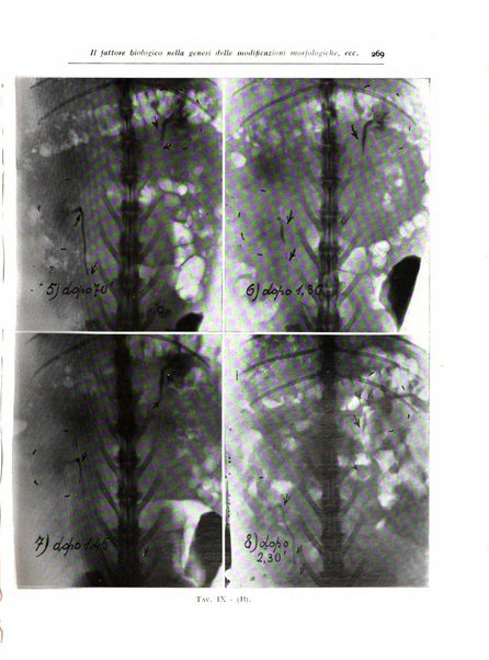 Annali di radiologia diagnostica