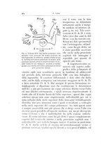 giornale/TO00216169/1939/unico/00000336