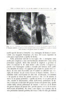 giornale/TO00216169/1939/unico/00000337