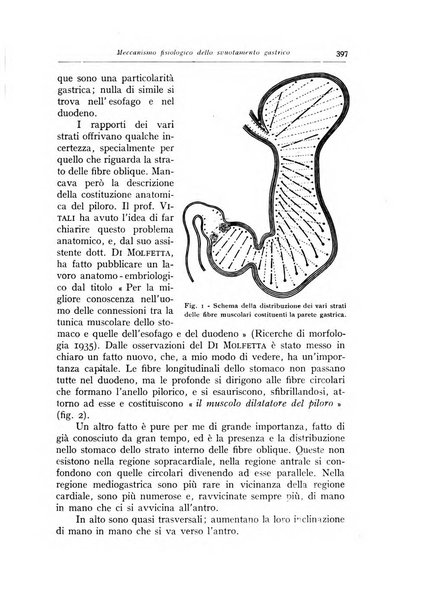 Annali di radiologia diagnostica