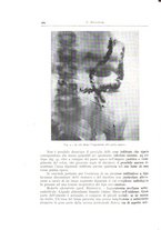 giornale/TO00216169/1939/unico/00000454
