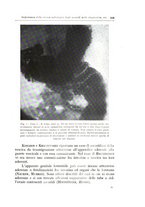 giornale/TO00216169/1939/unico/00000599