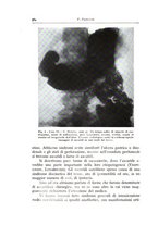 giornale/TO00216169/1939/unico/00000604