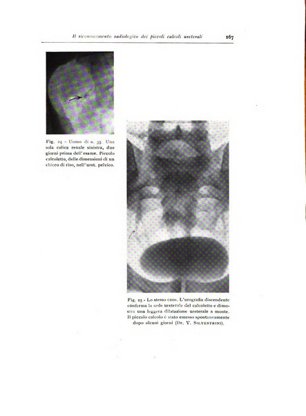 Annali di radiologia diagnostica