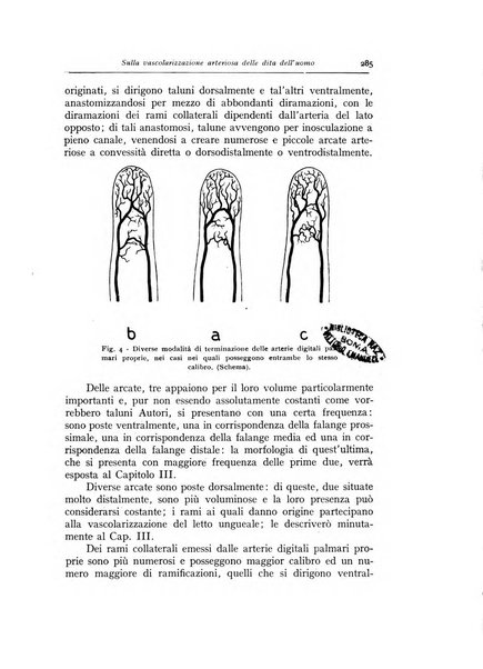 Annali di radiologia diagnostica