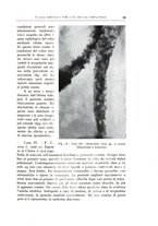 giornale/TO00216169/1941/unico/00000027