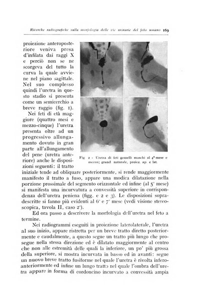 Annali di radiologia diagnostica